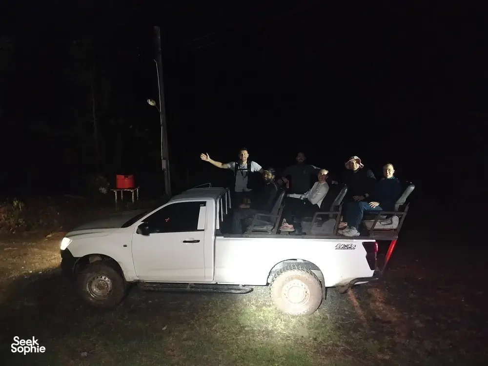 Seek Sophie option picture