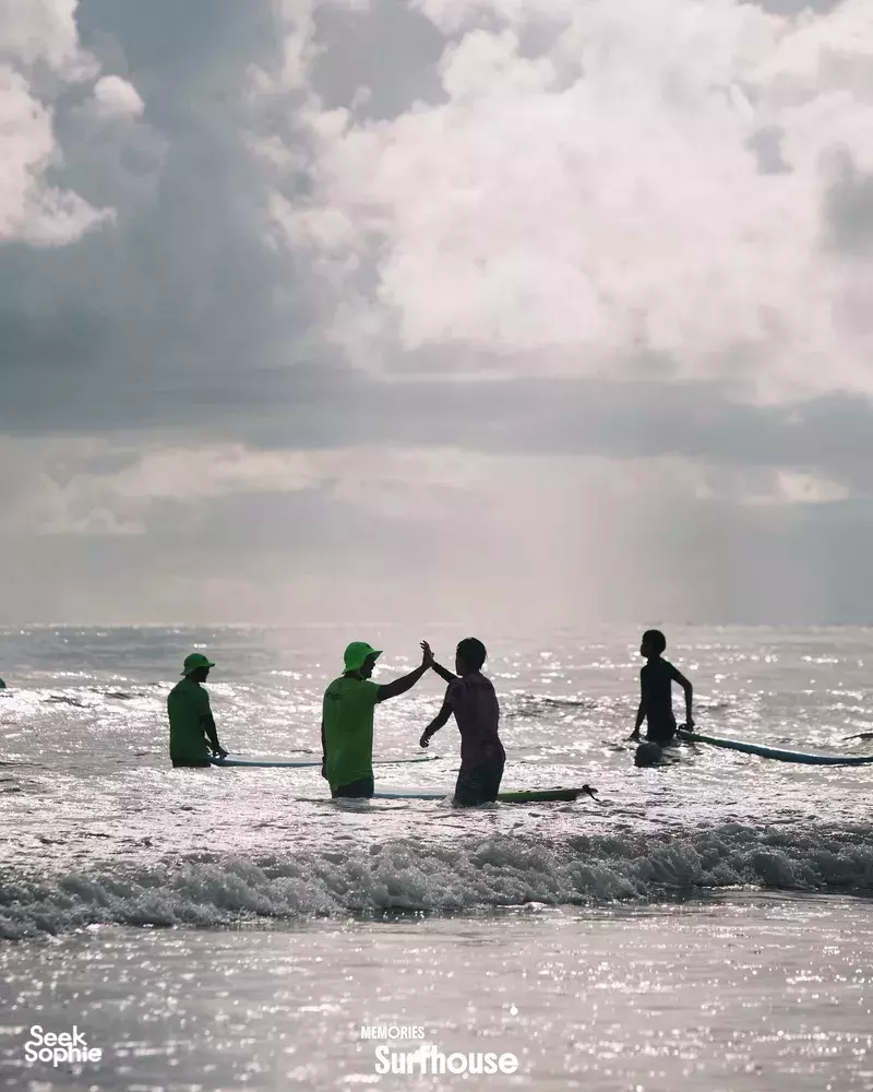 Seek Sophie option picture