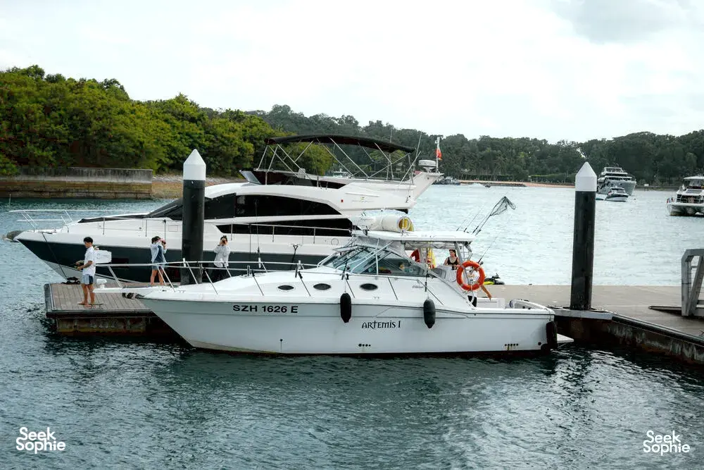 Seek Sophie option picture