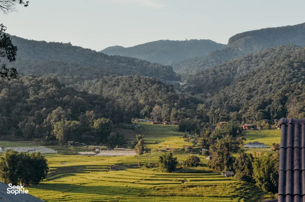 Seek Sophie option picture