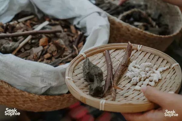 Create a Terrarium with Free-flow Materials!