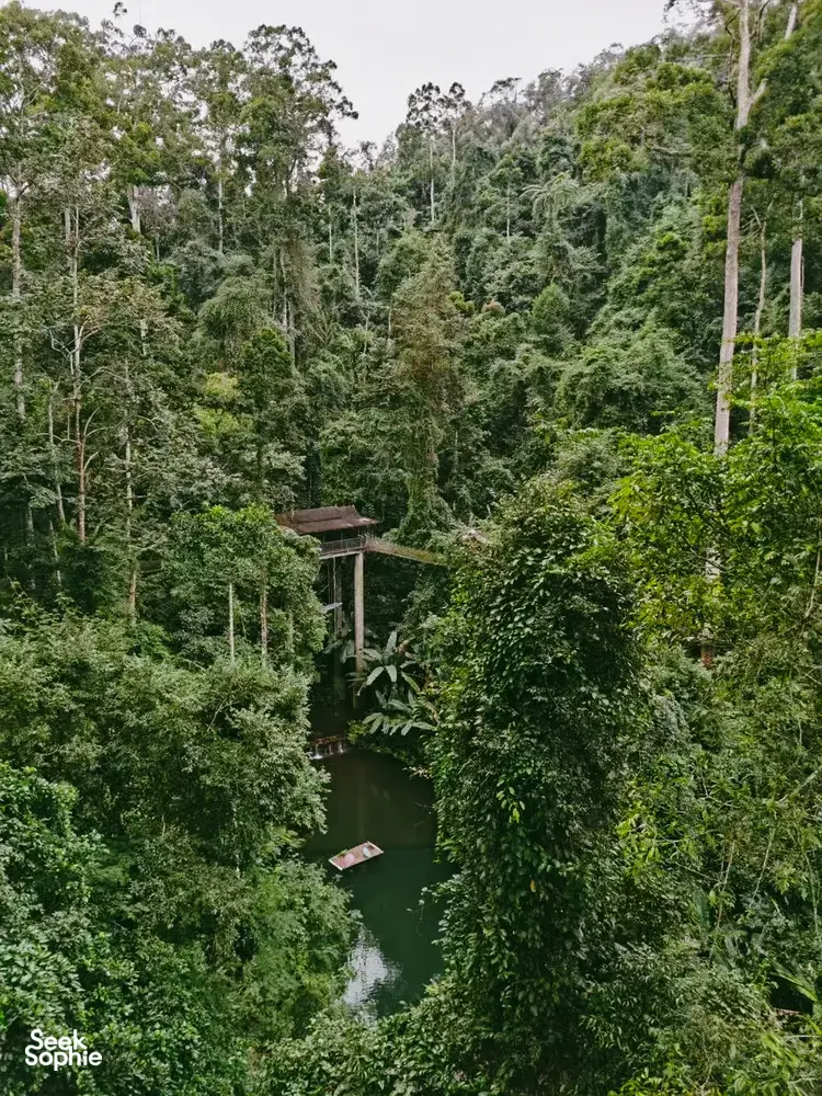 Kanopi hutan hujan yang rimbun di atas sungai yang tenang di Xishuangbanna saat perjalanan sehari pribadi, salah satu rute Sam
