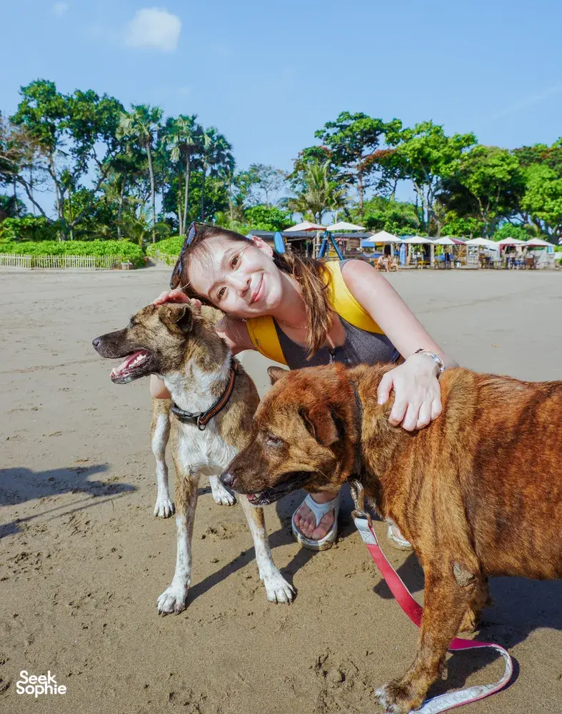 Woman greeting and caring for rescued dogs on a sandy beach in Bali with Bali Conservation Adventures conservation team
