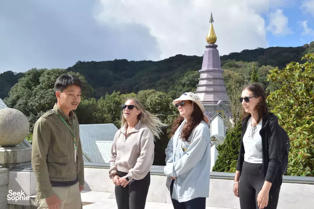 Seek Sophie option picture