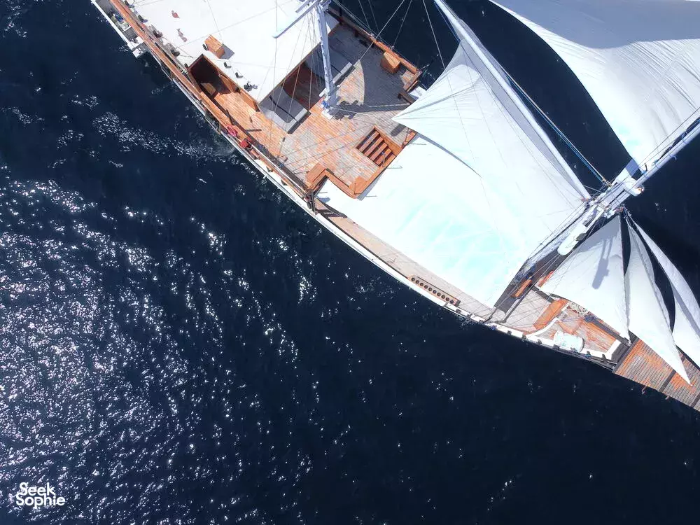 Seek Sophie option picture