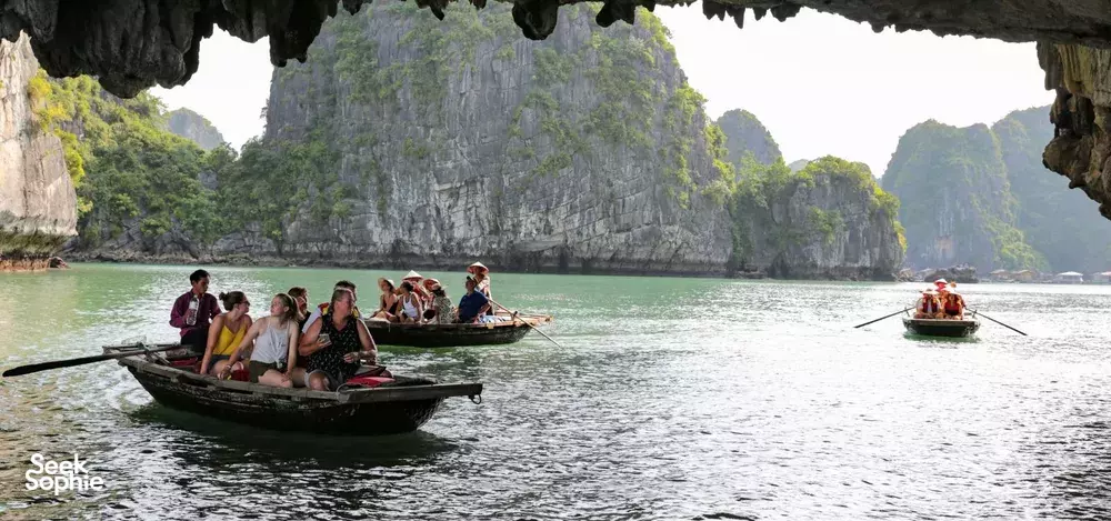 Seek Sophie option picture