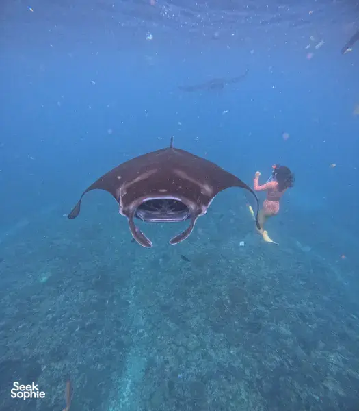 Nusa Lembongan Day Trip with Snorkeling & Underwater Photos