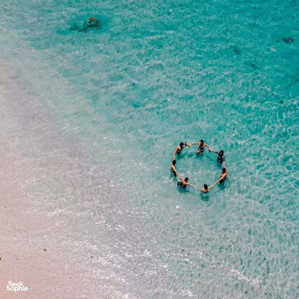 Seek Sophie option picture