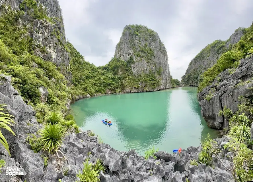 Seek Sophie option picture