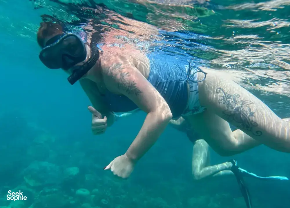 Seek Sophie option picture