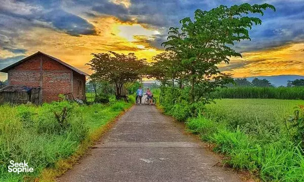 Discover Rural Yogyakarta: A Scenic Cycling Adventure in Tembi Village