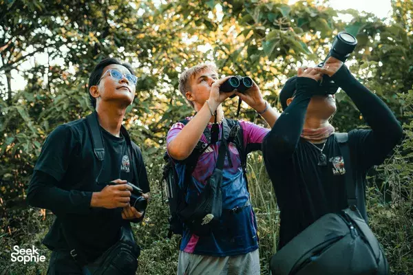 People on a wildlife lookout in Da Nang’s forest, raising binoculars to spot red-shanked douc langurs on a sunset tour