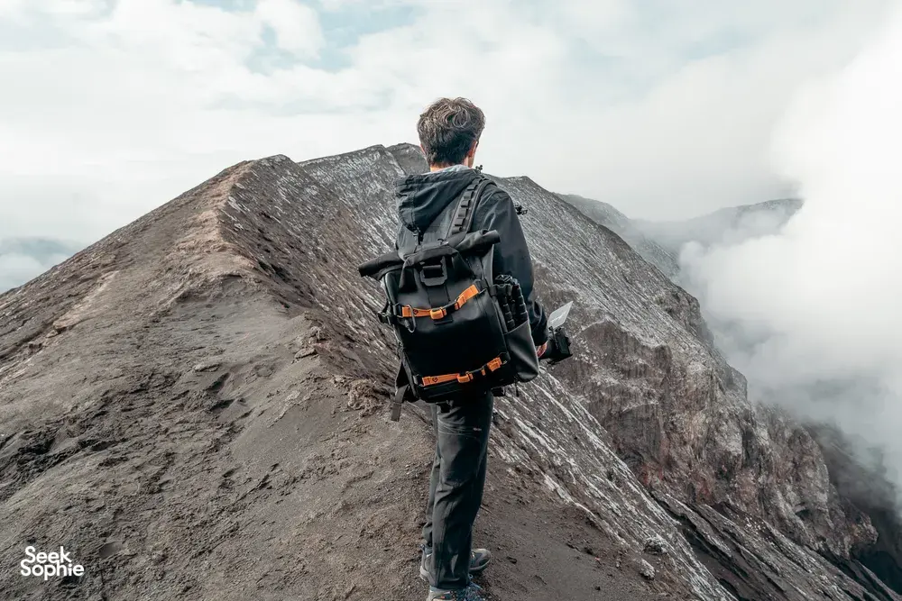 Seek Sophie option picture