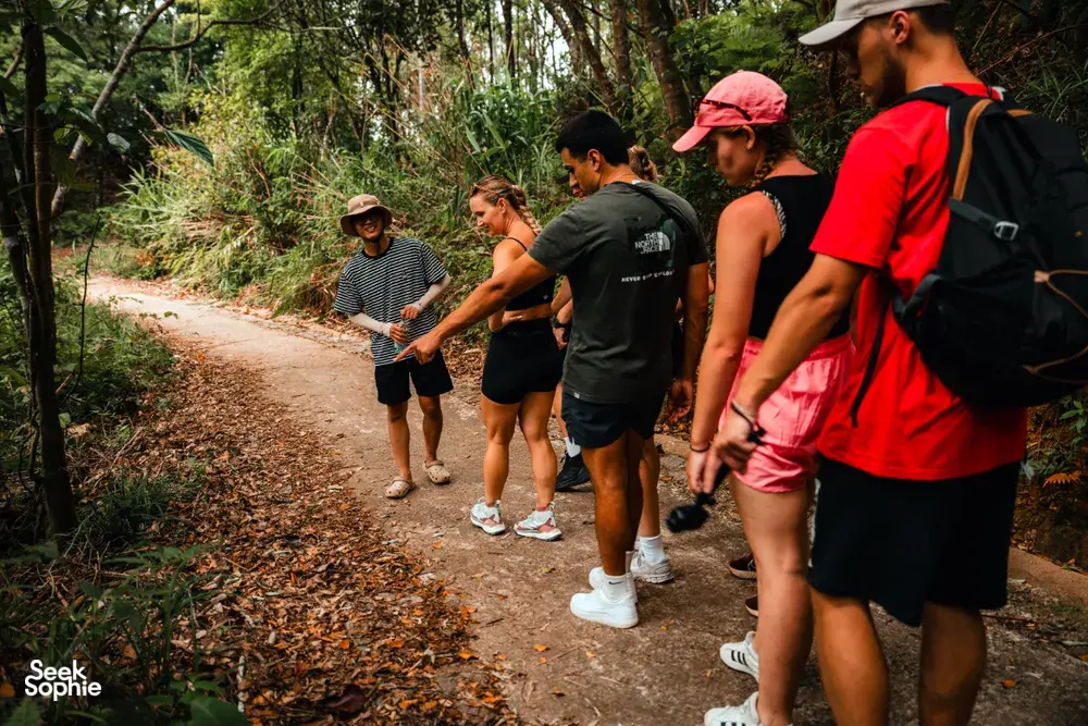 Seek Sophie option picture