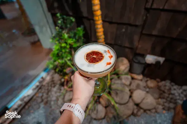 Private Cocktail Making Class in Cosy Nature Hideout