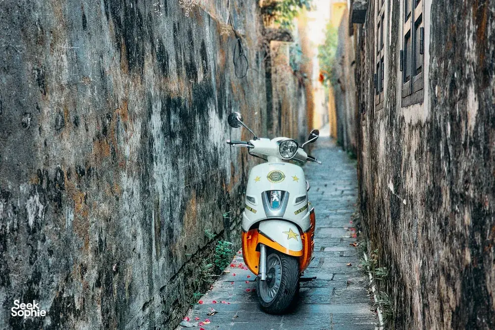 Seek Sophie option picture