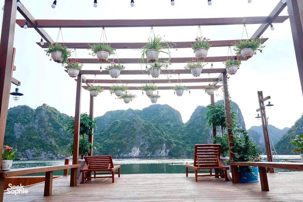 Seek Sophie option picture