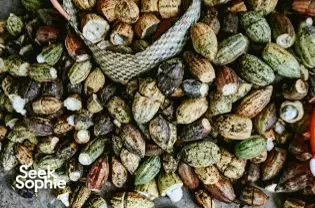 Cacao seeds and husks laid out from a cocoa tree garden visit at The Island Lodge in the Mekong Delta