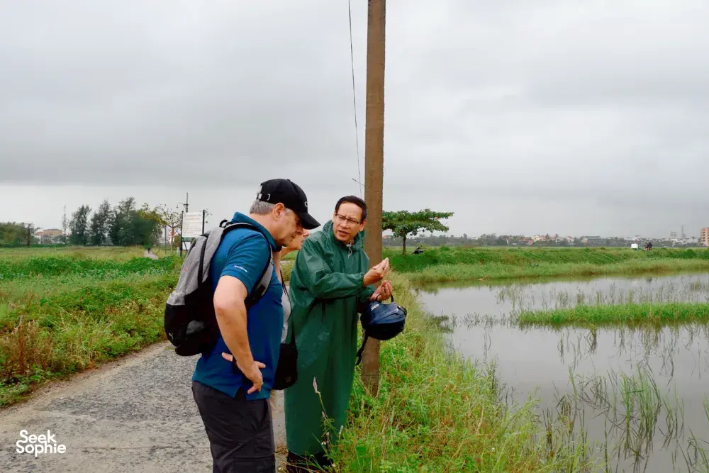 Seek Sophie option picture