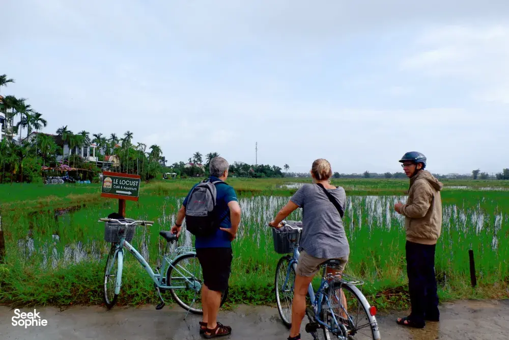 Seek Sophie option picture