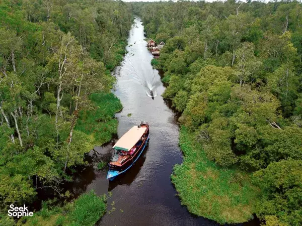 3D2N Tanjung Puting Safari with Local Orangutan NGO