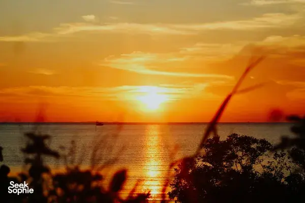 Sunset glow across Lan Ha Bay off Cat Ba, calm sea with a distant boat and silhouetted mangrove shoreline in the foreground