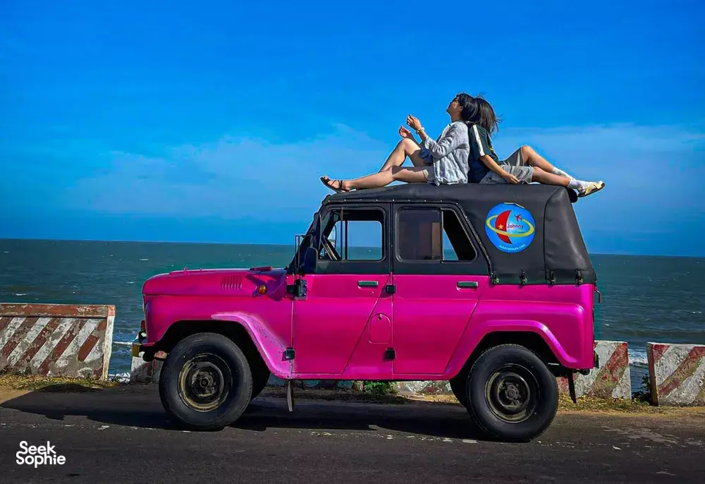 Seek Sophie option picture