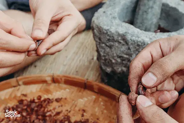 2天1夜清道美食体验 | 手工可可、咖啡或香草制作之旅