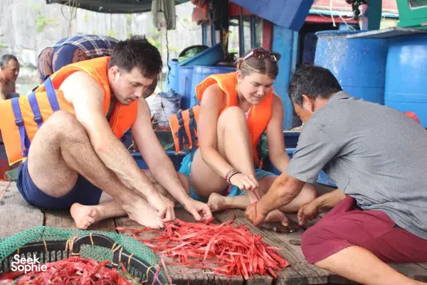 1 Day Hidden Lan Ha Bay Cruise | Secret Spots, Crabbing & Beach BBQ