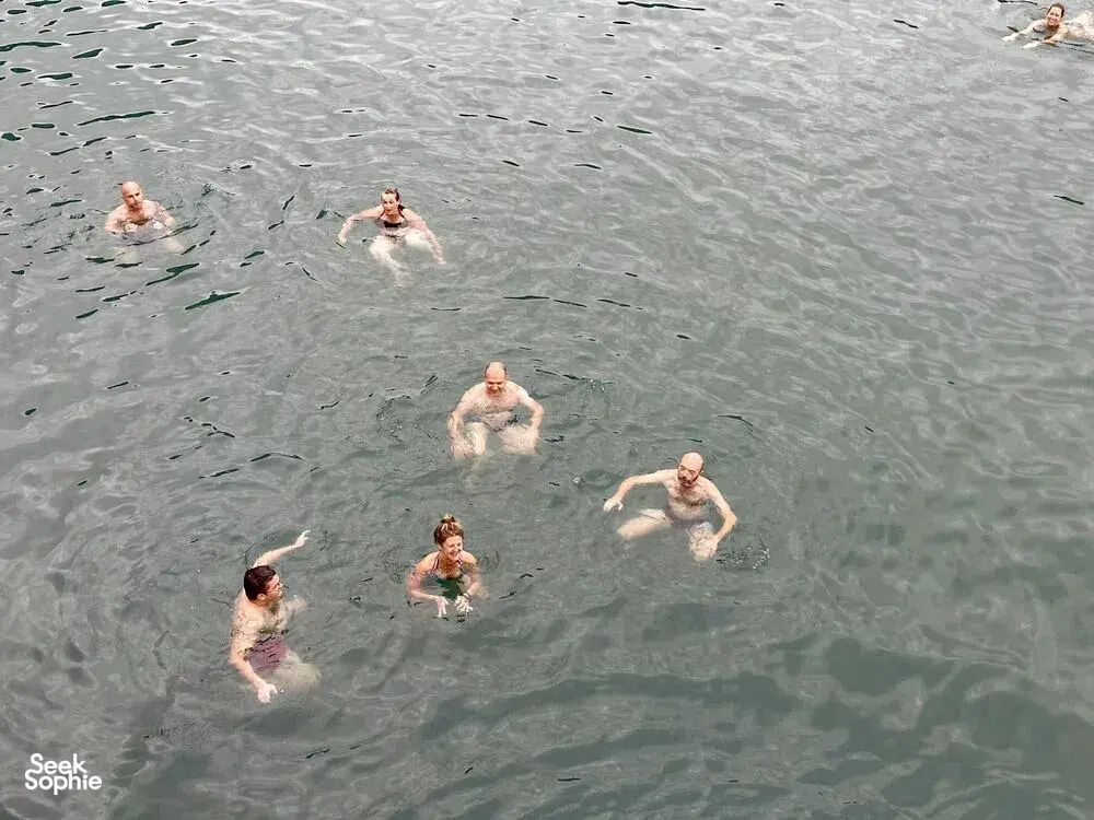 Seek Sophie option picture