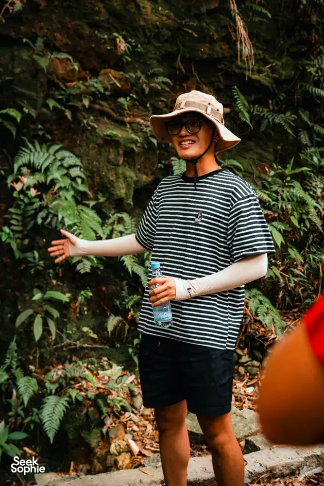 Seek Sophie option picture