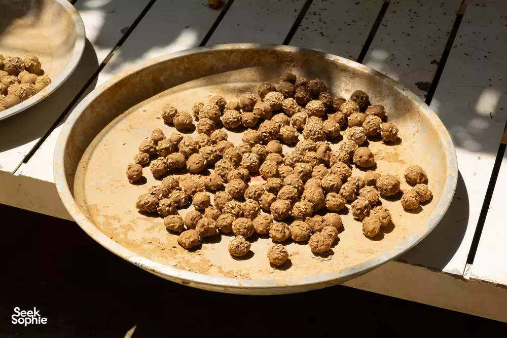 Seek Sophie option picture