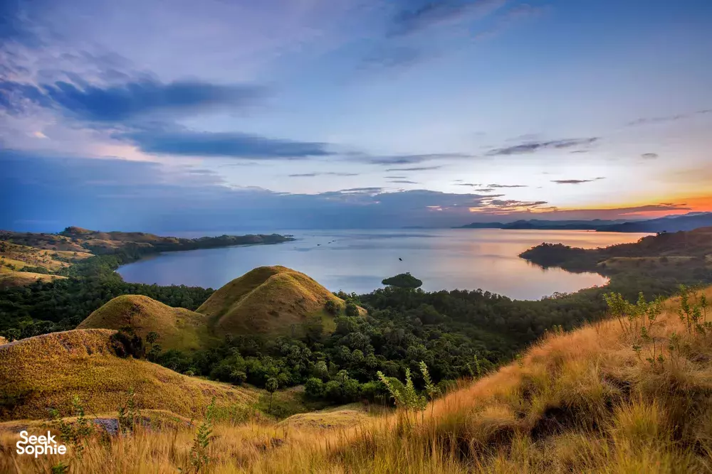 Seek Sophie option picture