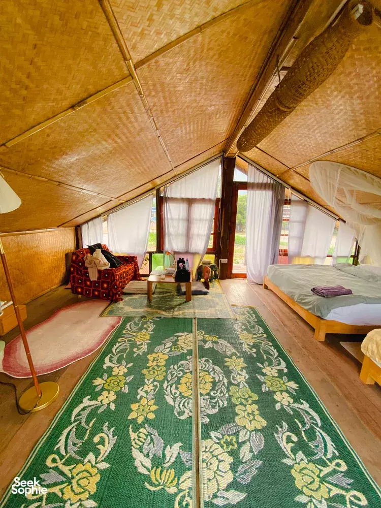 Seek Sophie option picture