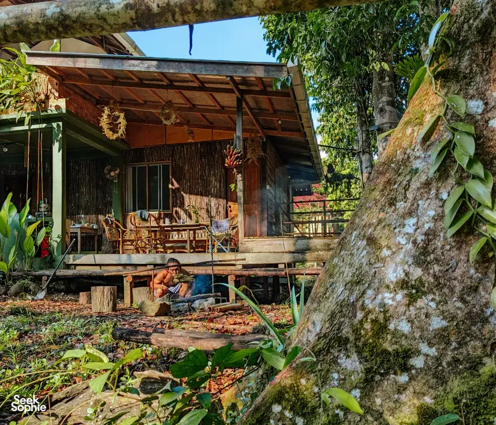 Seek Sophie option picture