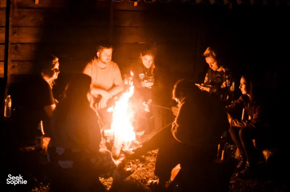 Seek Sophie option picture