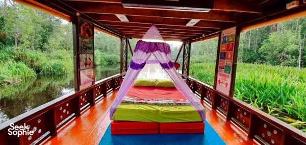 3D2N Tanjung Puting Safari with Local Orangutan NGO