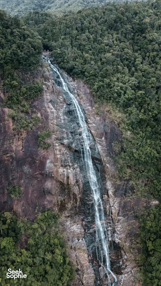 Seek Sophie option picture