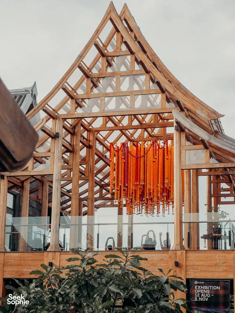 Seek Sophie option picture