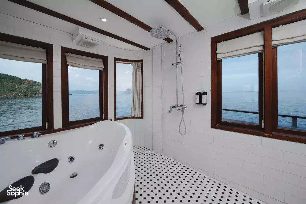 Seek Sophie option picture