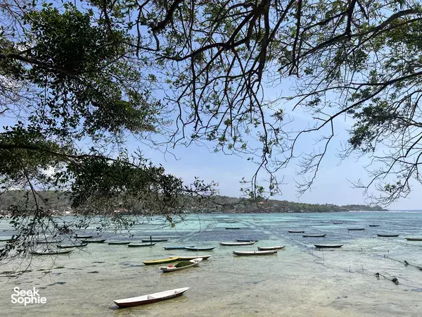 Nusa Lembongan Cruise | Snorkel, Banana Boat, Seaweed Farm