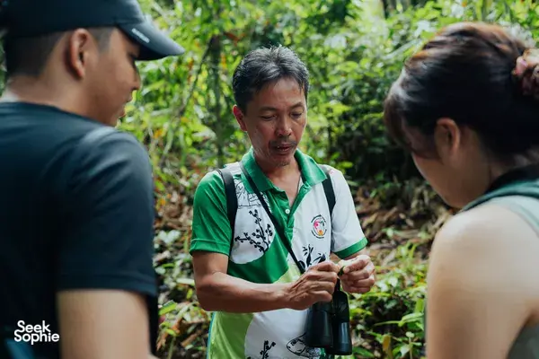 Discover Khao Sok’s Birdlife with a Local Birdwatching Expert