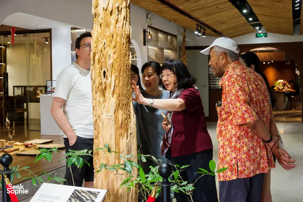 Visitors gather around a tall agarwood trunk for scent learning during an Up Travel Vietnam rare agarwood tour in Hanoi