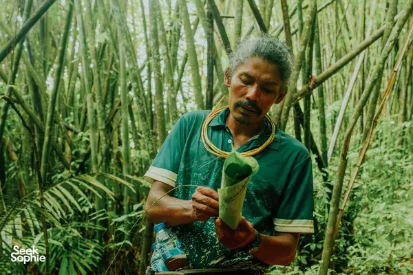 Full Day Jungle Adventure with Conservation Hero 
