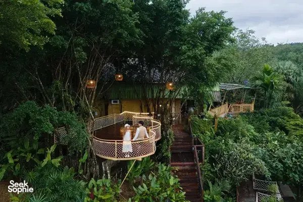 Rope-suspended hammock pod beside jungle paths, with guests relaxing in the evening at Khao Sok National Park