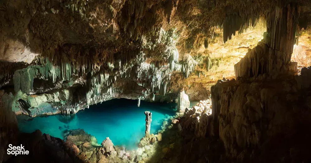 Seek Sophie option picture