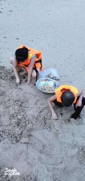 Travellers in orange life jackets kneeling in shallow sand with a sieve, part of a Cat Ba cruise shore activity