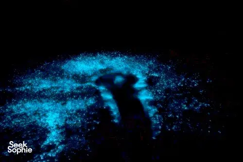 2D1N Cat Ba 5-Cabin Cruise | Longer Itinerary to Maximise Time on Bay