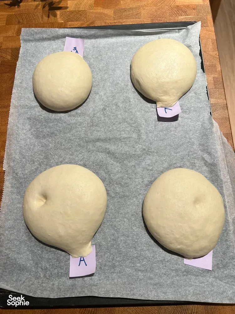 Unbaked shio pan dough balls on lined baking paper labelled into portions during prep for workshops in Singapore
