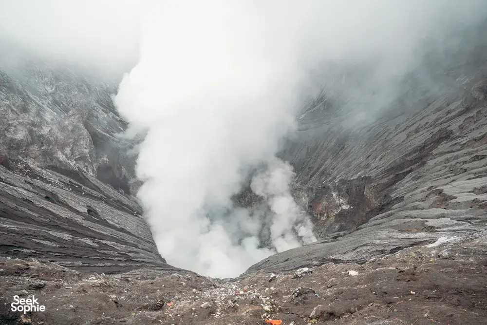 Seek Sophie option picture